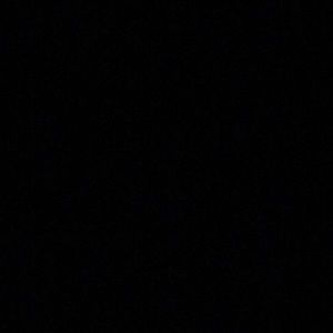 Meet your Posher, Forrest